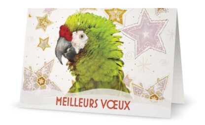 Carte Meilleurs Vœux pour le temps des fêtes et la nouvelle année