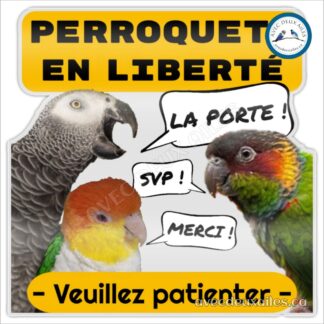 LA PORTE ! Perroquets en liberté